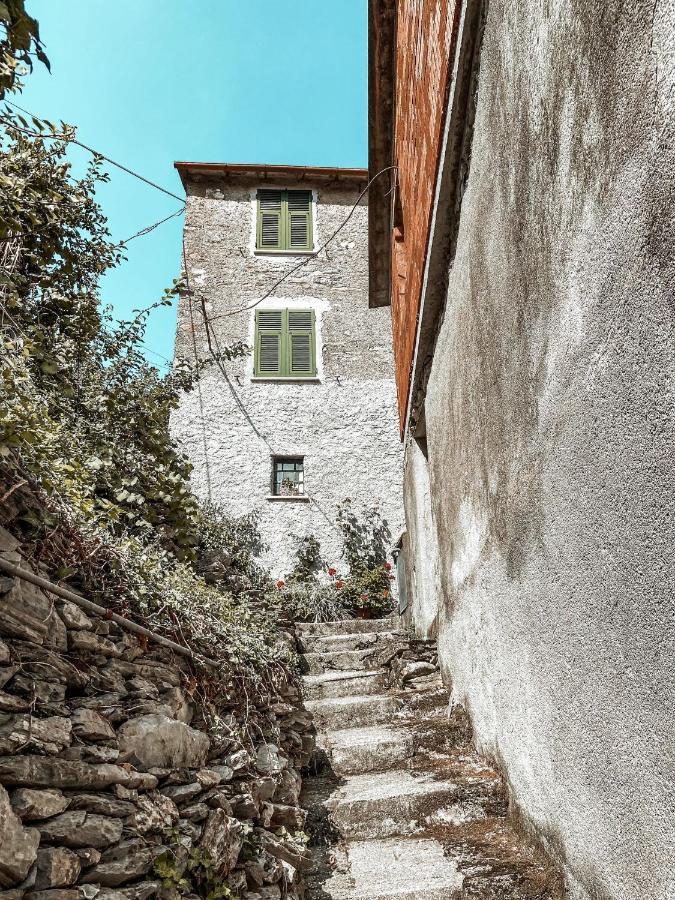 La Dolce Vita Teriasca المظهر الخارجي الصورة